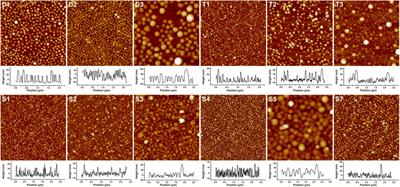 Architecture- and Composition-Controlled Self-Assembly of Block Copolymers and Binary Mixtures With Crosslinkable Components: Chain Exchange Between Block Copolymer Nanoparticles